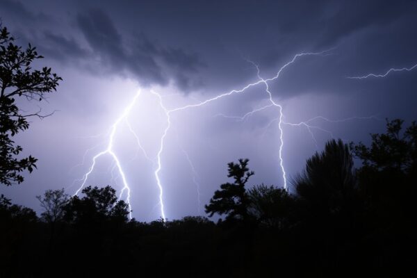 On Wednesday, March 5, 2025. This incident happened with bad weather covering Central Virginia.